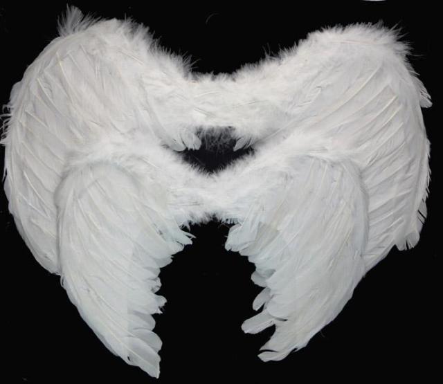 Halloween Costumes Props Angel Wings